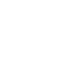 Design Icon