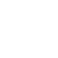 Enable Leaders Icon
